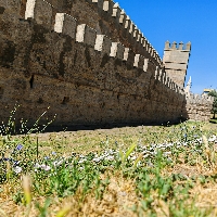 Imagen 4